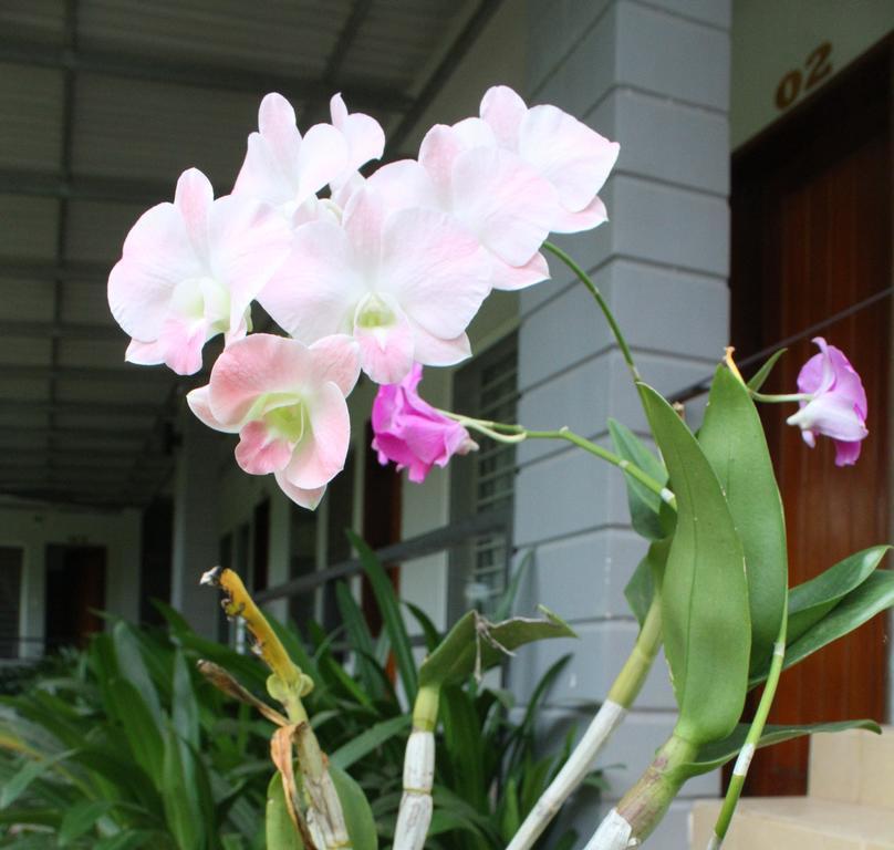 My Parents Guesthouse Kampot Exterior photo
