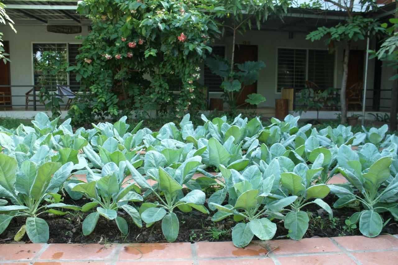 My Parents Guesthouse Kampot Exterior photo
