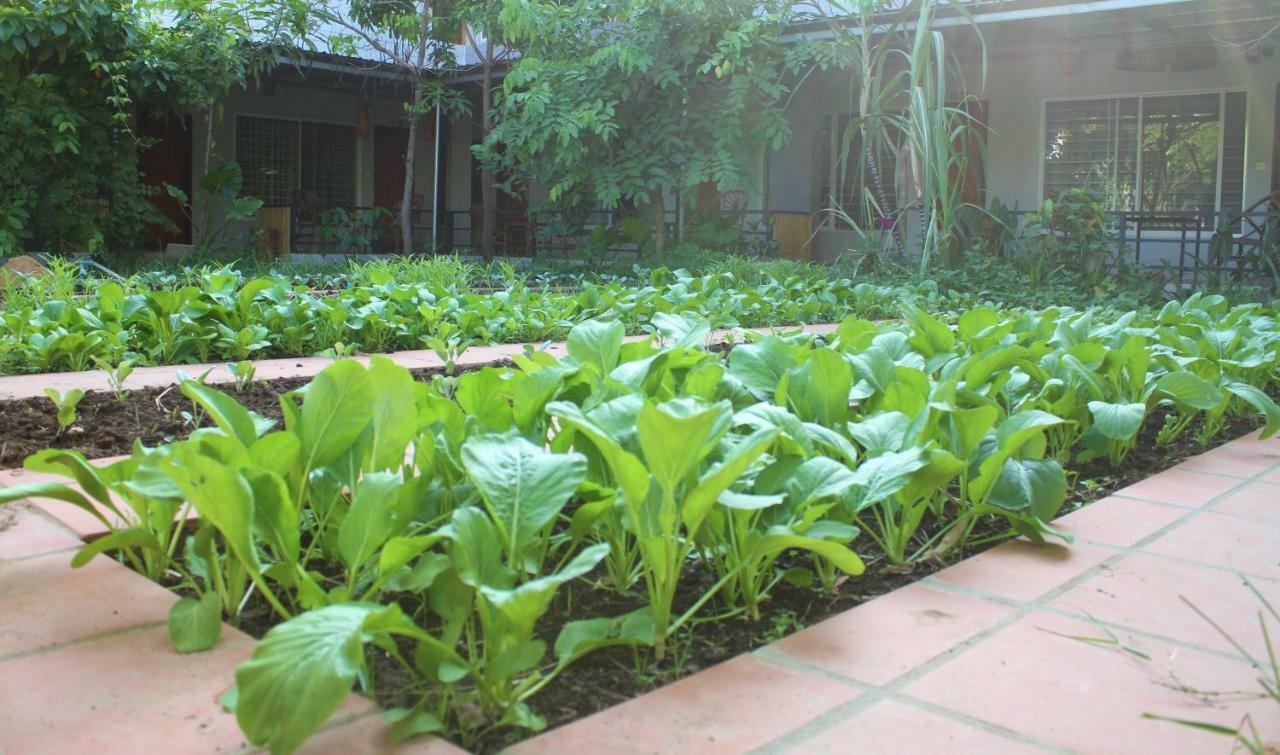 My Parents Guesthouse Kampot Exterior photo