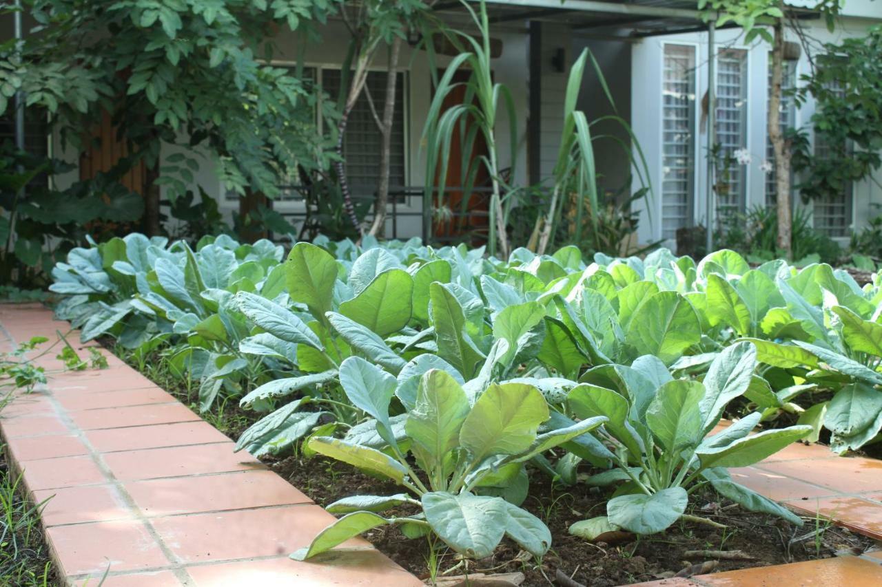 My Parents Guesthouse Kampot Exterior photo