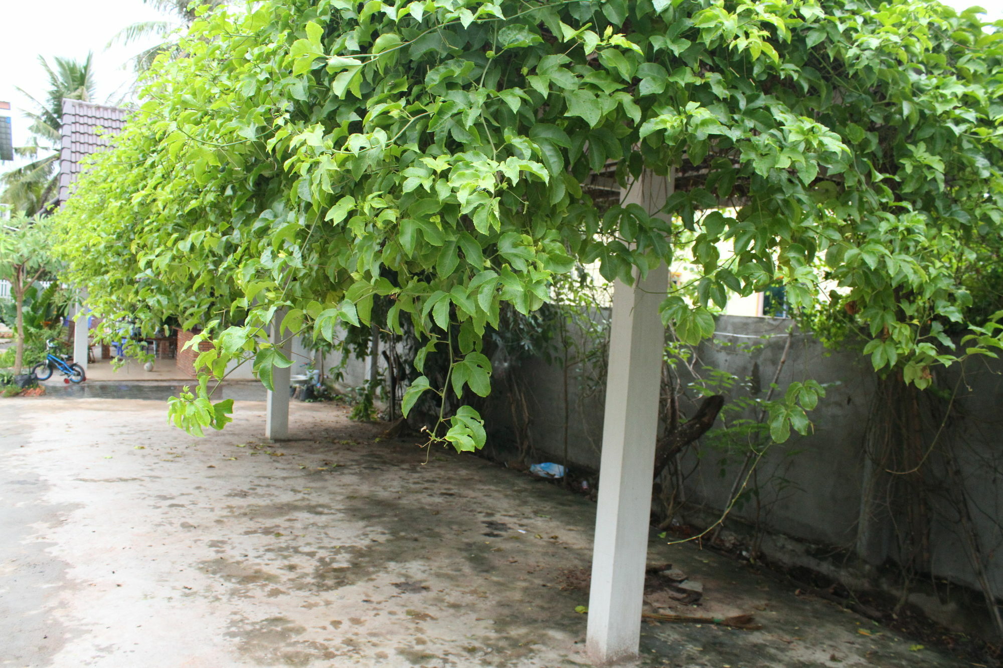 My Parents Guesthouse Kampot Exterior photo